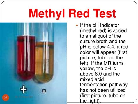 escherichia coli methyl red test